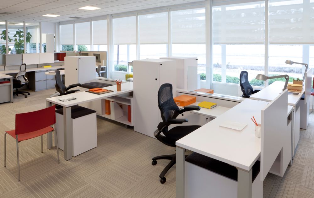 6 Ways to Divide Your Office Workspace for Greater Efficiency